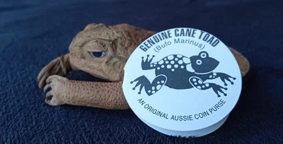 Genuine Leather Purse Taxidermy Cane Toad Frog Wallet Key Purse Novelty