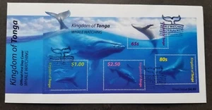 *FREE SHIP Tonga Whale Watching 2005 Marine Life Ocean (FDC) *odd shape *unusual - Picture 1 of 5