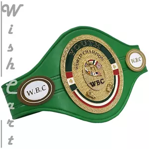Exquisite WBC World Youth Boxing Championship Belt - Showpiece of Excellence - Picture 1 of 3