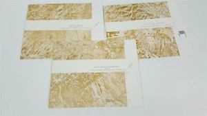 3 USGS orthophotomap topographic - Nevada Long Canyon Juno Alph mtn - Picture 1 of 3