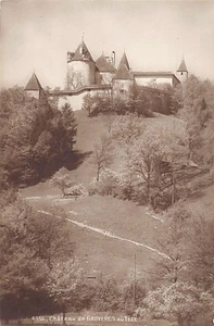 Suisse - GRUYÈRES (FR) Château de Gruyères au Telé - Ed. Jullien Frères J.J. 433 - Picture 1 of 2