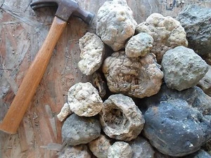 Sorte GEODENKNÖTCHEN KRISTALL für Kinder Explore Stone Rock 5 Pfund Entdecken Posten - Bild 1 von 11