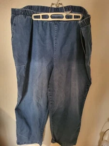 Woman Within Size 38W Blue Denim-Style Elastic Waist Pull-On Cotton Pants 46W - Picture 1 of 24