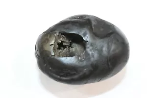 Di buon auspicio Kaal Bhairav Shaligram 3 pollici con 348 origine fiume Gandaki Nepal - Foto 1 di 5