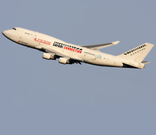 Martinair Cargo Boeing 747-400 (Safari Connection)