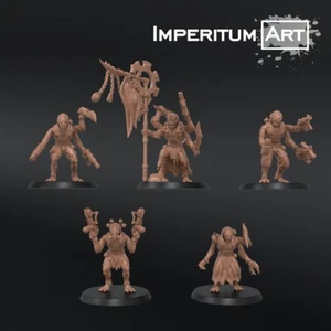 5 cultistes geneasteler   - Imagen 1 de 1