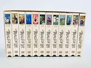 David Attenborough's THE TRAILS OF LIFE Collection 12-Tape Set VHS Vintage - Foto 1 di 3