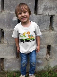 Dinosaur Big Brother Shirt - Dino Boys Tee - Big Brother announcement Tshirt - Picture 1 of 2