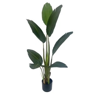 Traveller Banana Palm Tree UV 120cm UV OUTDOOR - Picture 1 of 4