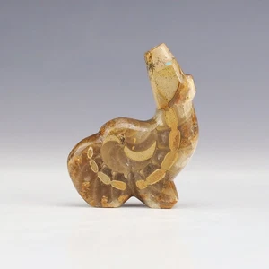 ORSO AMMONITE NATIVI AMERICANI ZUNI FETISH DI KENRIC LAIWAKETE - Foto 1 di 8