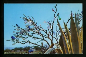 Glass Related postcard Bottle Tree & Cactus roadside art view chrome - Picture 1 of 2