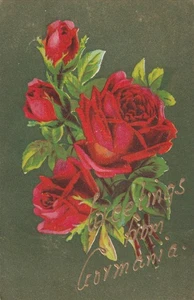 Gormania WV Saludos Desde 1907 Diseño Flor Palabras Aplicadas - Imagen 1 de 2