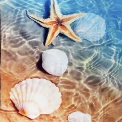 ⚡️Whitley Willow Reversible Micro Fiber Beach Towel (35”in X 70”in) Seashells - Image 1 of 4