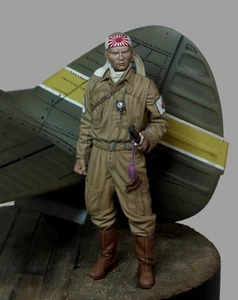 Japón Kamikaze Juguete Pintado Soldado Preventa | Museo - Imagen 1 de 5