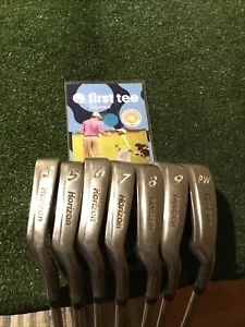 Horizon Titanium Advanced Weighting Irons Set (3-PW, No 4)Regular ProTaper Steel - Picture 1 of 12