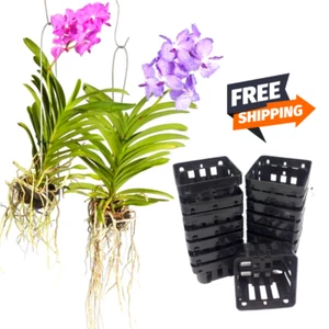 Vanda Orchid Pots Plastic Hanging Mesh Net Baskets Hydro Air Plant Décor 10 Pcs - Picture 1 of 20