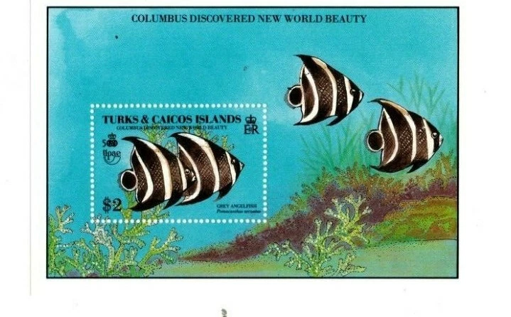 Islas Turcas y Caicos 1990 - Pez Colón - Hoja de estampillas de recuerdo - Scott #844 - MNH Foto 1 de 1