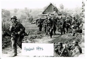 WW 2 Russland Feldzug battlefield hier: 14.08.1942 Kampf um Nikitskoje - Bild 1 von 1