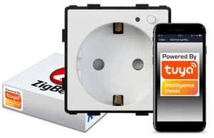 Zigbee-Steckdose Tuya RTX SH - Bild 1 von 12