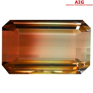7.80 ct AIG CERTIFIED OCTAGON CUT (14 X 9 MM) BI-COLOR TOURMALINE STONE - Picture 1 of 2