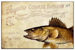 Vintage Walleye Fishing Lures Art Print 11x17 Bass Club Bait Shop Wall Decor - Picture 1 of 1