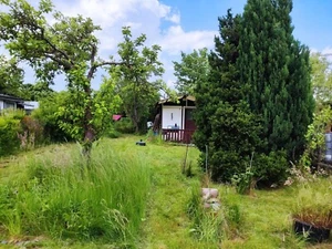 Nachpächter für Kleingarten in Falkenstein gesucht - Bild 1 von 14