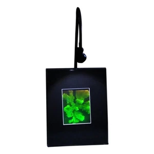 SOPORTE DE ESCRITORIO ILUMINADO DE HOLOGRAMA DE CORAL 3D, película tipo haluro plateado - Imagen 1 de 7