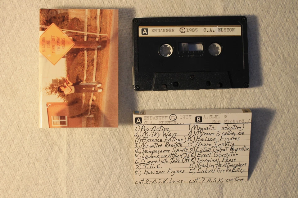 C. A. Elston - Endanger US private cassette psych space rock Art rock TESTED - Image 1 of 1