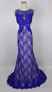 Nuevo con etiquetas Jovani Talla 12 Memaid Encaje Real $500 Vestido Baile de graduación Formal Noche Boda Larga - Imagen 1 de 12