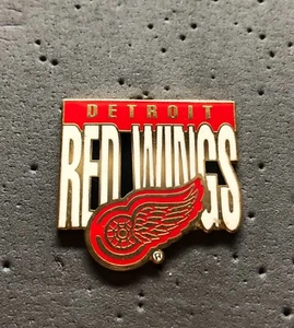 Detroit Red Wings Big Name NHL Hockey Pin - Bild 1 von 1