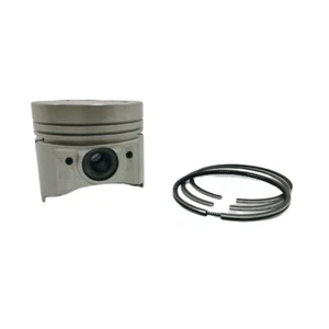 KOLBEN + KOLBENRINGSATZ (STD-67.00mm):KUBOTA/Z482/D722 - Bild 1 von 2