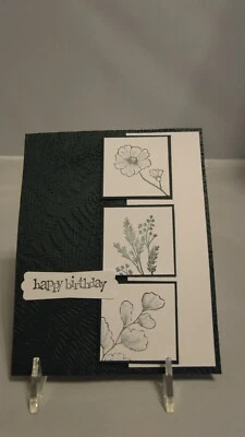 Kit de tarjetas de estampación conjunto de 4 tarjetas "Feliz cumpleaños" #2a Noche Evergreen Foto 1 de 2