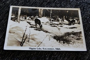Deer in Snow Higgins Lake Michigan RPPC Photo Postcard 1940 Postmark - Picture 1 of 2