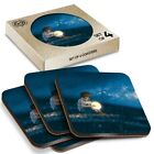 4 x Boxed Square Coasters - Moon Boy Orb Meadow Night  #14050