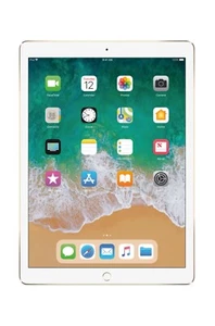 Apple iPad Pro 12.9" 2nd Gen 256GB Gold WiFi+Cellular (MPA62LL/A) - Bundle - Afbeelding 1 van 6