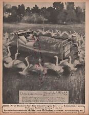 FRANKENBERG, Werbung 1908, Paradies-Betten-Fabrik M. Steiner & Sohn AG Sessel