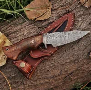 Handmade Damascus Steel Fixed Blade Hunting Knife, Multipurpose 10" with Cover - Picture 1 of 7