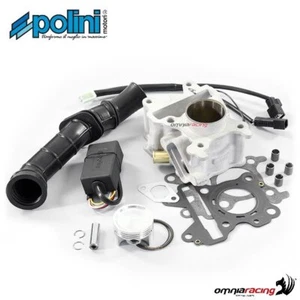 Kit de cilindros de aluminio Polini D. 44 f?r Yamaha Aerox 50R ie E4 2018> - Imagen 1 de 5
