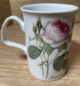 ROY KIRKHAM REDOUTE ROSES FINE BONE CHINA COFFEE MUG 4” TALL MADE IN ENGLAND - Picture 1 of 9