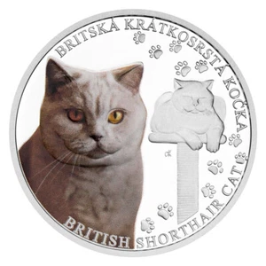 2024 Niue Cat Breeds British Shorthair Cat Proof 1oz Silver Coin - Picture 1 of 5