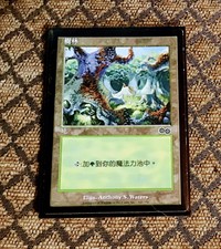 MTG  Urzas Saga forest in Japanese. NM Common NP