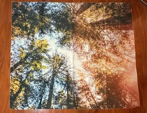 Trees Forest Woodlands Woods Tapestry Wall Decor 48x56 In. Dorm Room - Picture 1 of 2