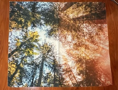 Trees Forest Woodlands Woods Tapestry Wall Decor 48x56 In. Dorm Room - Image 1 of 2