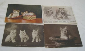 4 1907-30 KATZENFOTO POSTKARTEN 1907-15 KÄTZCHEN DRILLINGE "SCHÖNHEITSFLECKEN": 1909 WEISS - Bild 1 von 2