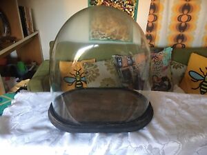 Vintage Large Glass Dome - Taxidermy? Victorian