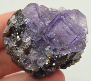 +++ FLUORIT, SPHALERIT ELMWOOD MINE, CARTHAGE, SMITH COUNTY, TENNESSEE +++ - Bild 1 von 7