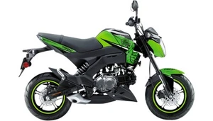 D'cor Visuals 20-20-337 Z-125 Pro Graphic - Team Green - Picture 1 of 3