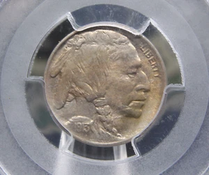 1913 ""P"" cabeza india níquel de búfalo *tipo 1* 5c PCGS MS64 #688 BU sin circular - Imagen 1 de 5