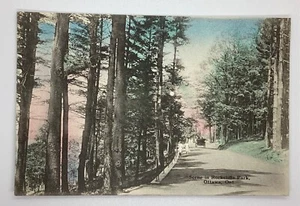Postcard Ottawa Ontario Rockcliffe Park Scene Vintage Car Trees Canada K204 - Picture 1 of 2