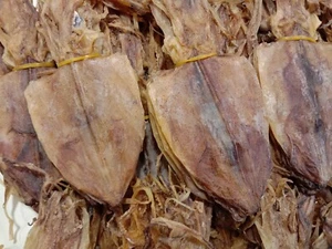 Thailand New Round Dried Squid Large Seafood Clean Fresh High Quality 500g/1,000 - Picture 1 of 12